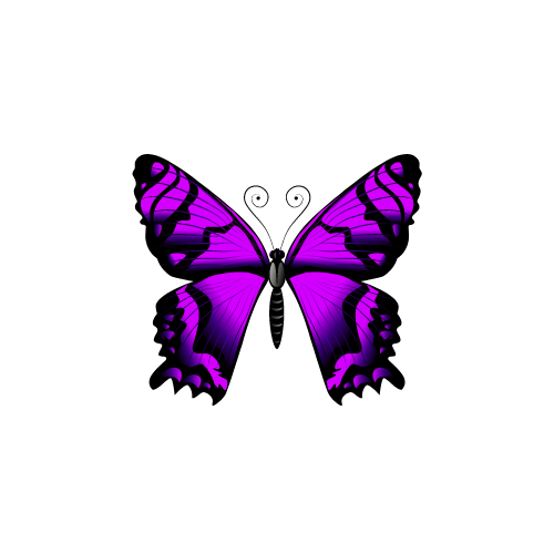 Client 1